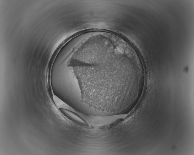 X0000116491032200912231147