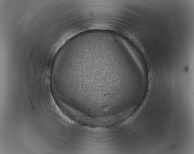 X0000116491033200912231147