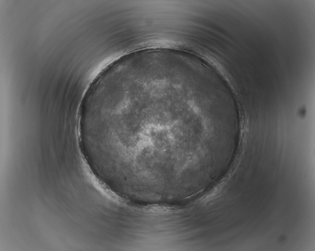 X0000116491034200912231147