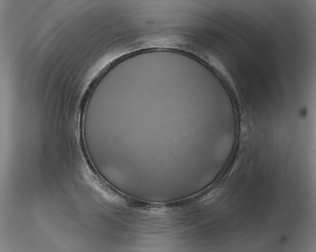 X0000116491035200912231147