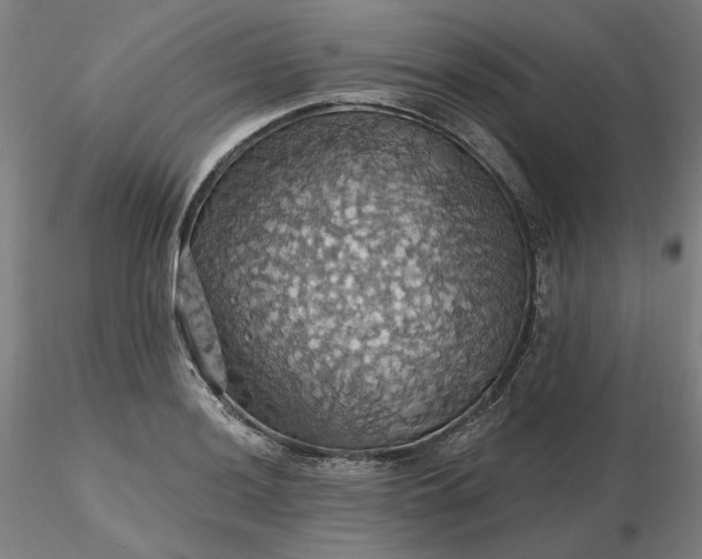 X0000116491036200912231147