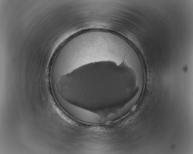 X0000116491037200912231147