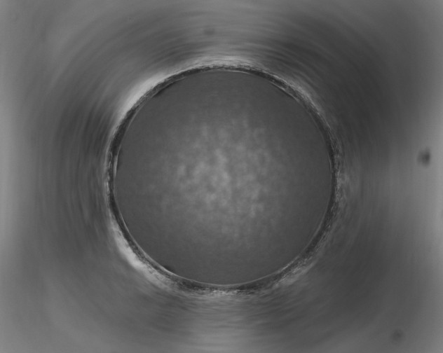 X0000116491038200912231147