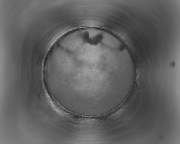 X0000116491039200912231147