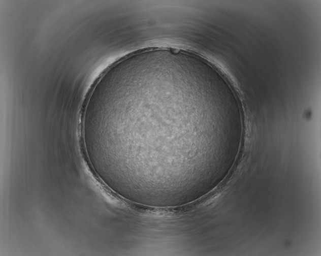 X0000116491040200912231147