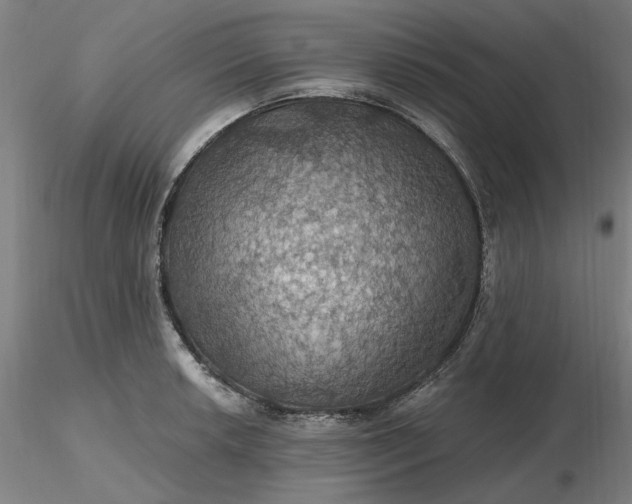 X0000116491042200912231147