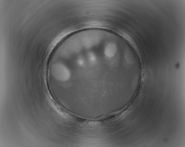 X0000116491043200912231147