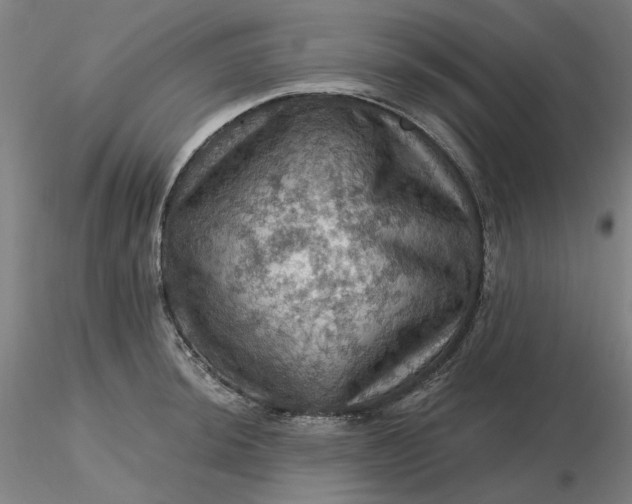 X0000116491044200912231147