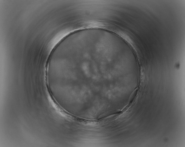 X0000116491047200912231147