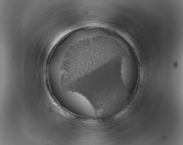 X0000116491048200912231147