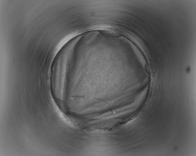 X0000116491050200912231147