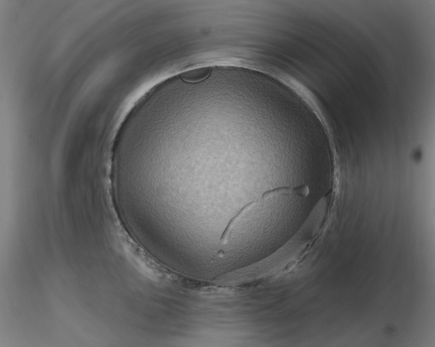 X0000116491051200912231147