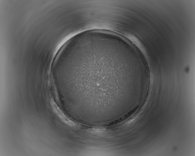 X0000116491052200912231147