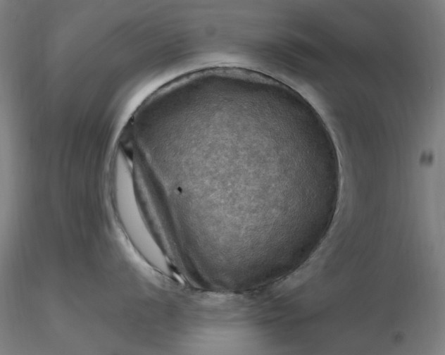 X0000116491056200912231147