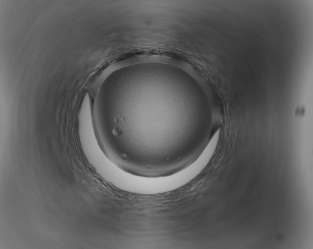 X0000116491057200912231147