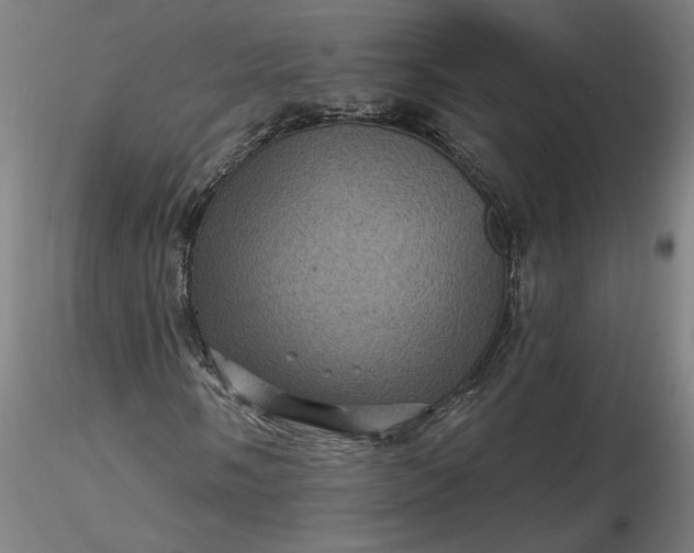 X0000116491058200912231147