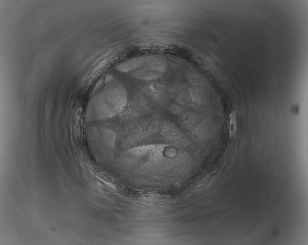 X0000116491059200912231147