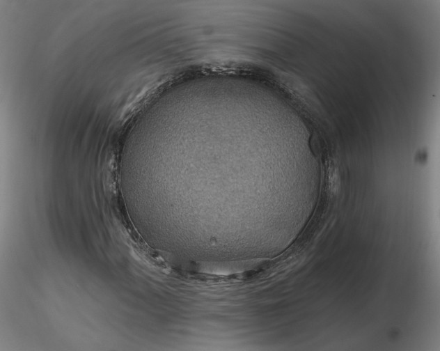 X0000116491060200912231147