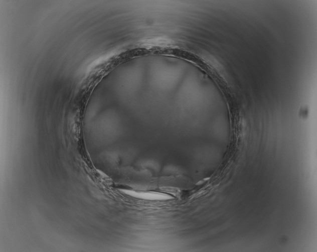 X0000116491063200912231147