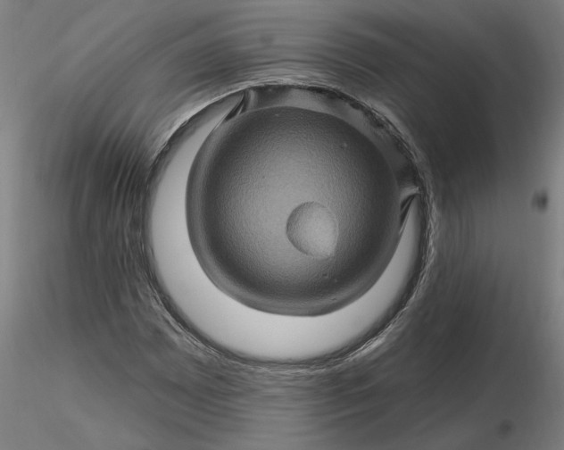 X0000116491065200912231147