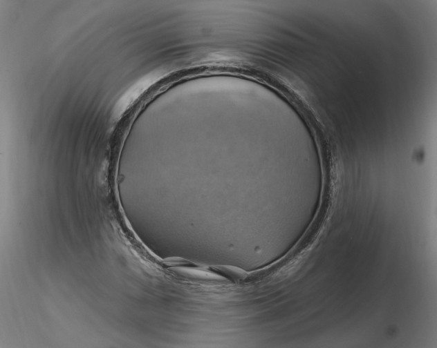 X0000116491066200912231147