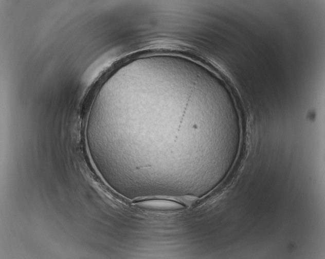 X0000116491067200912231147