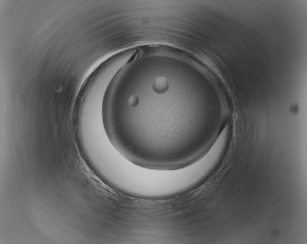 X0000116491068200912231147