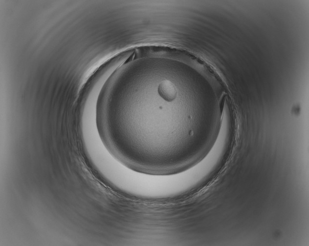 X0000116491069200912231147