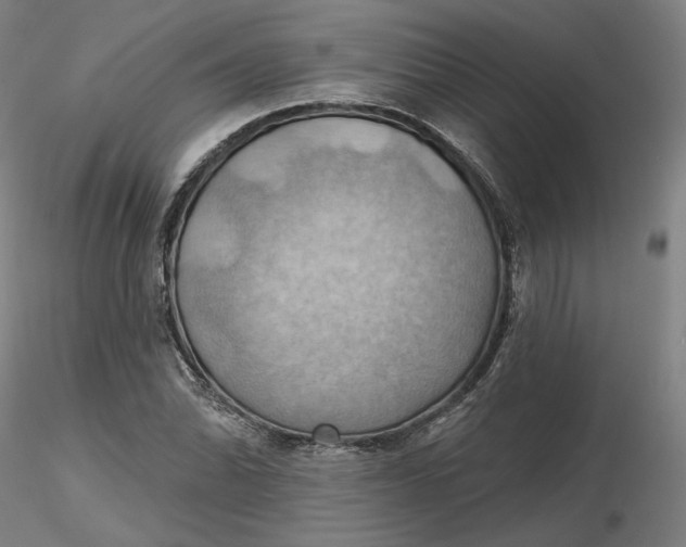 X0000116491070200912231146