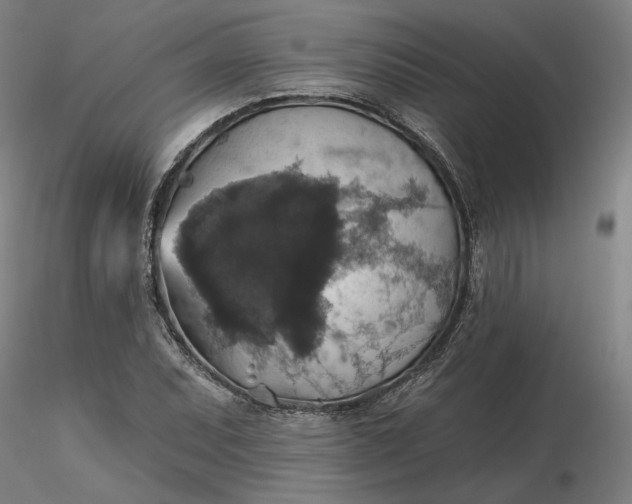 X0000116491071200912231146