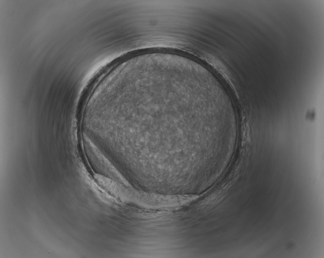 X0000116491072200912231146