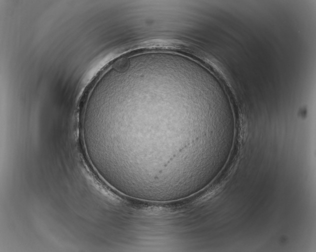 X0000116491075200912231146