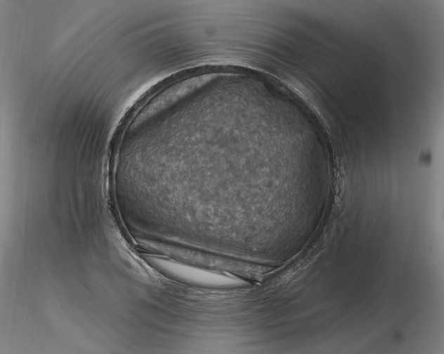 X0000116491076200912231146