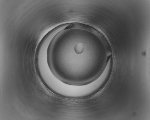 X0000116491077200912231146