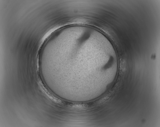 X0000116491078200912231146