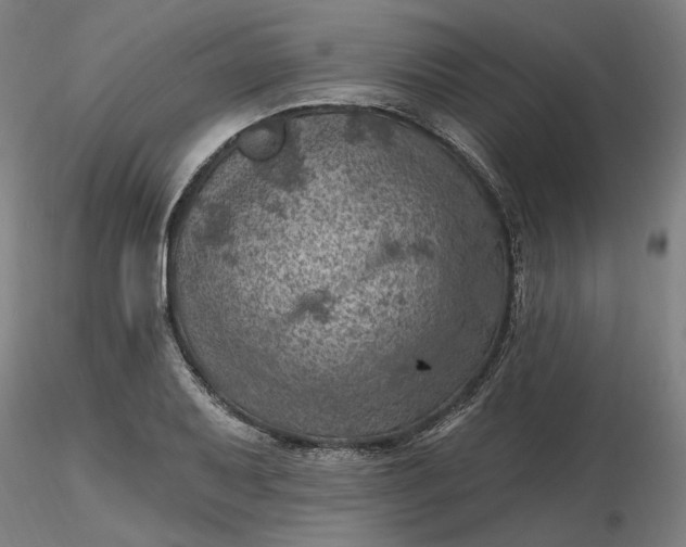 X0000116491079200912231146