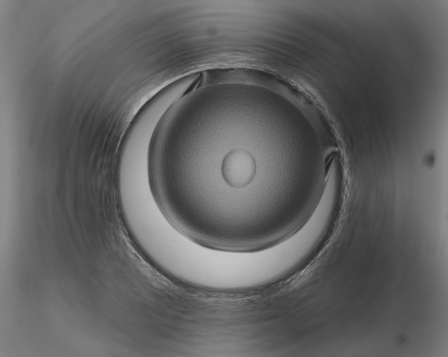 X0000116491081200912231146