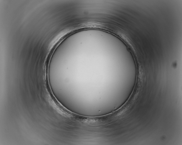 X0000116491082200912231146