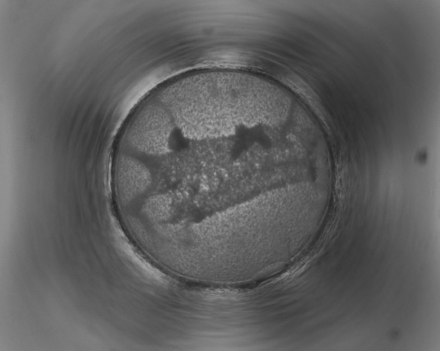 X0000116491083200912231146