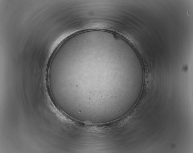 X0000116491086200912231146