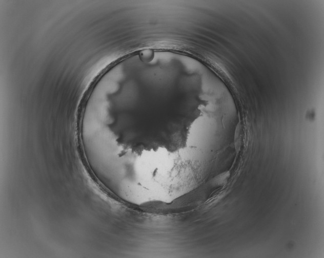 X0000116491087200912231146