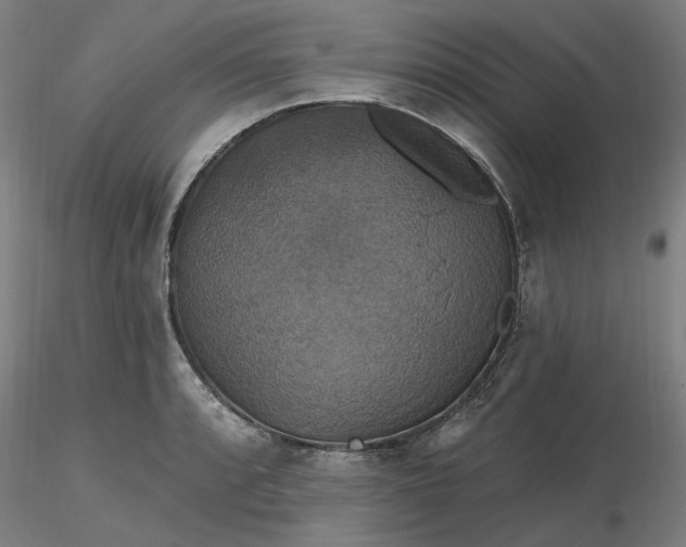 X0000116491088200912231146