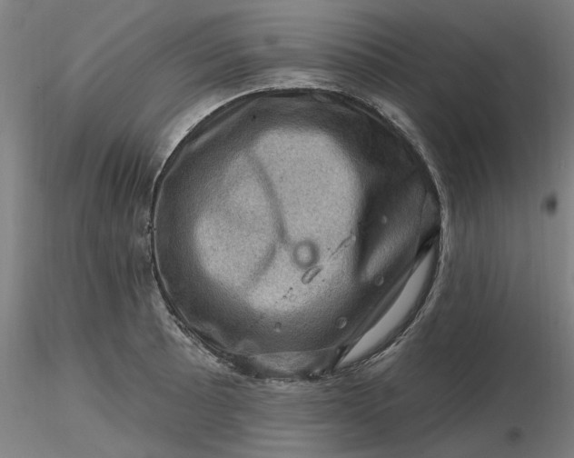 X0000116491089200912231146