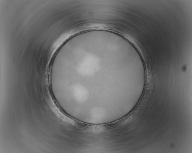 X0000116491090200912231146