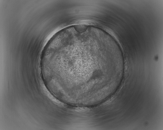 X0000116491091200912231146