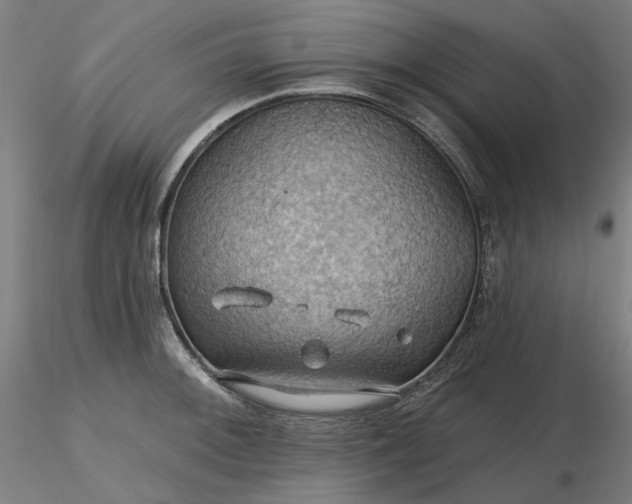 X0000116491092200912231146