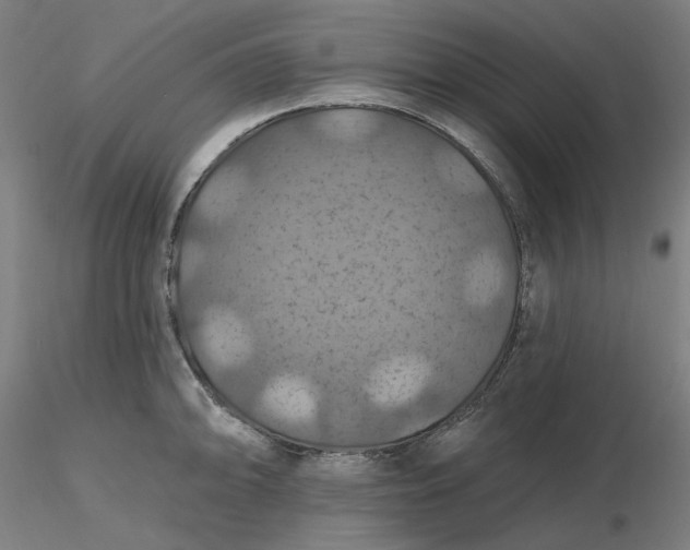 X0000116491094200912231146