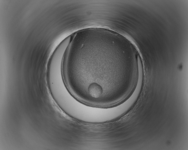 X0000116491096200912231146