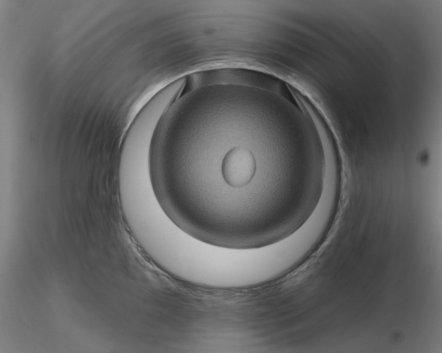 X0000116491097200912231146