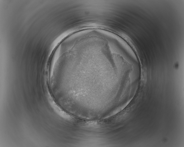 X0000116491098200912231146